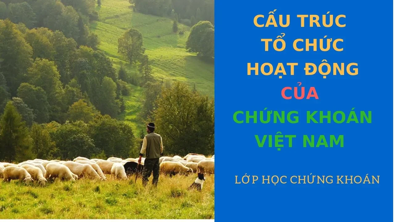 Cách thức tổ chức hoạt động của thị trường chứng khoán Việt Nam