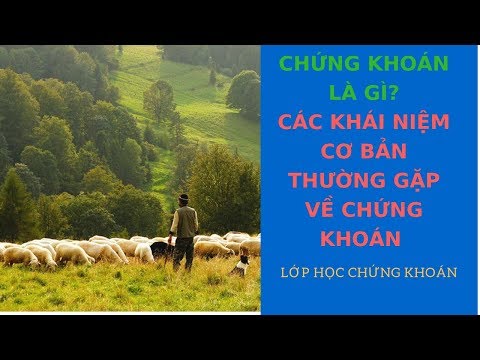 Chứng khoán là gì? – Các khái niệm cơ bản liên quan thường gặp