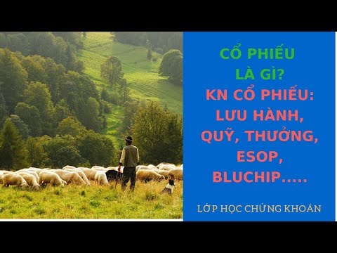 Cổ phiếu là gì? Các loại cổ phiếu | Cổ phiếu | bluchip | penney | đầu cơ | thưởng |Esop | Quỹ…