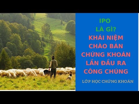 IPO là gì? | Khái niệm chào bán chứng khoán lần đầu ra công chúng