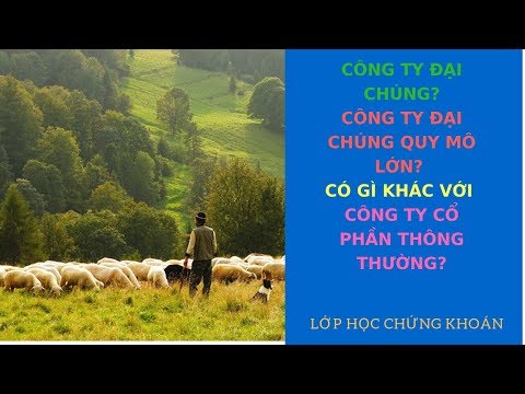 Công ty đại chúng | Công ty đại chúng quy mô lớn là gi? | Có gì khác với công ty chưa đại chúng
