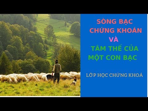 Sòng bạc chứng khoán và tâm thế của một con bạc