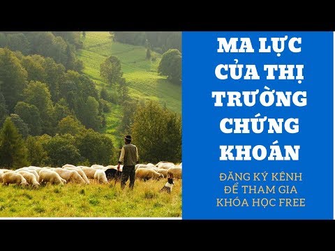 Ma lực của thị trường chứng khoán