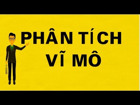 Phân tích vĩ mô và nhưng vấn đề cần quan tâm