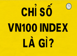 VN100 Index? Cách xác định và ý nghĩa của chỉ số VN100 Index