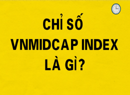Chỉ số VNMID Index? Cách xác định và ý nghĩa của VNMID Index