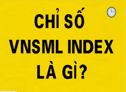 VNSML Index? Cách xác định và ý nghĩa của chỉ sô VNSML Index