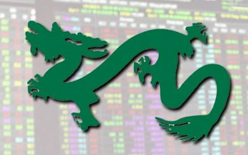 Các loại quỹ đầu tư - Quỹ đầu tư Capital Dragon