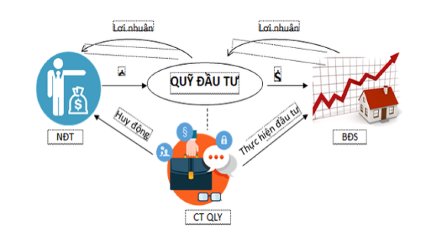 Quỹ đầu tư là gì - Đầu tư vào quỹ có nhiều ưu điểm nổi bật