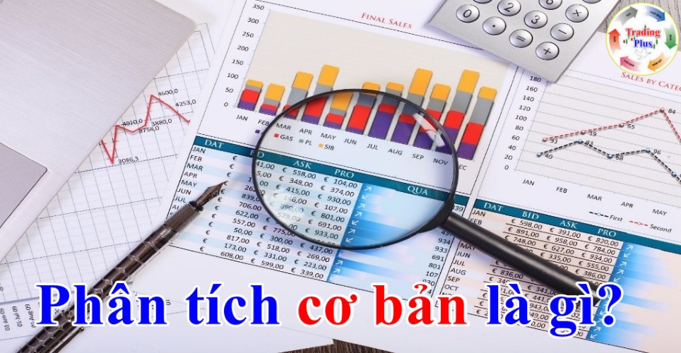 Phân tích cơ bản là gì?