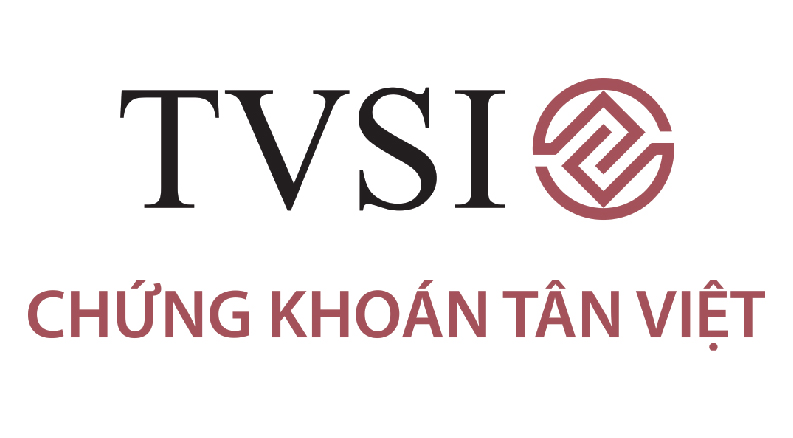Công ty cổ phần chứng khoán Tân Việt - Tổng quan