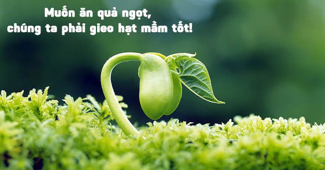 Luật Nhân quả