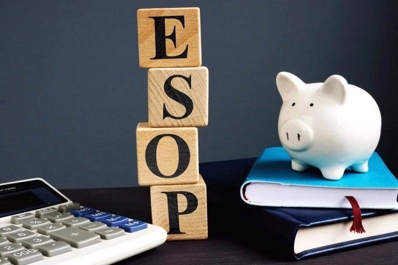 cổ phiếu esop là gì - có nên đầu tư không