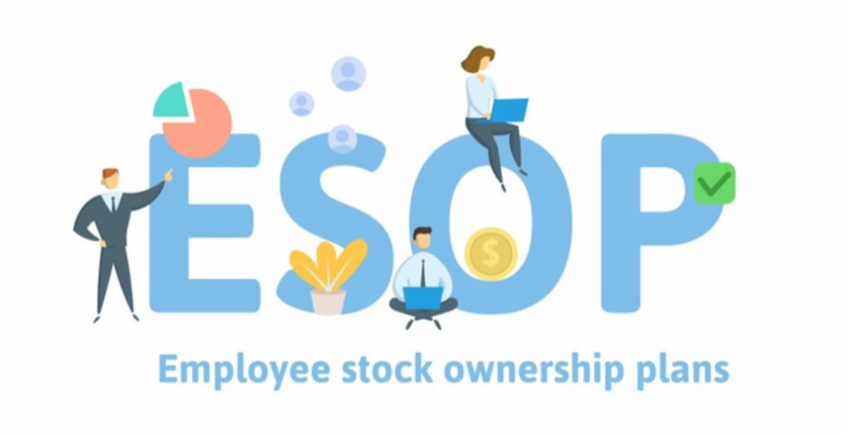 cổ phiếu esop là gì - mục đích
