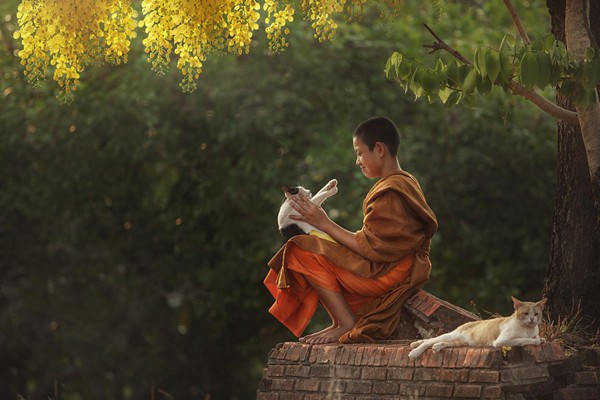 Quy luật nhân quả 4