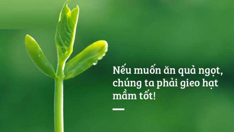 Quy luật nhân quả 1