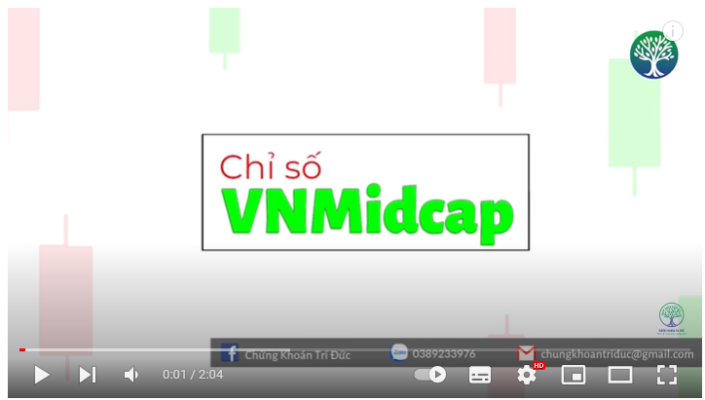 Chỉ số VNMidcap là gì