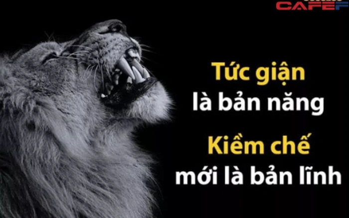 Kiềm chế là một hành động thông minh nhất