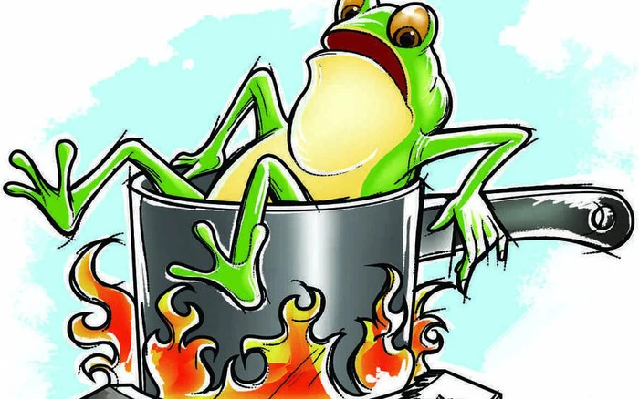 Câu chuyện con ếch và nồi nước sôi bài học áp dụng trong giao dịch tài chính