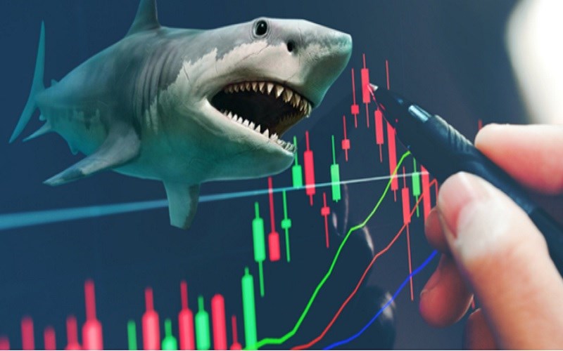 Bull Trap 2
