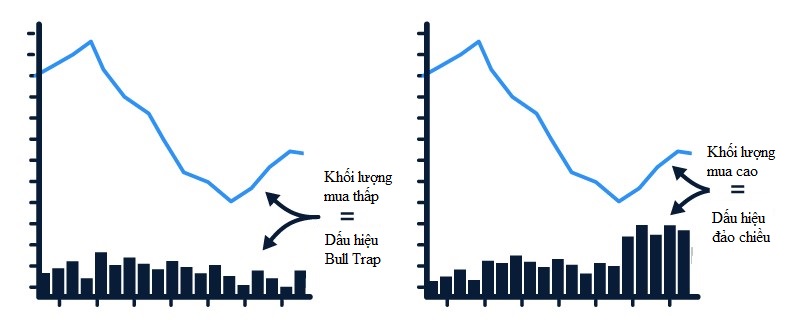 Bull Trap 3